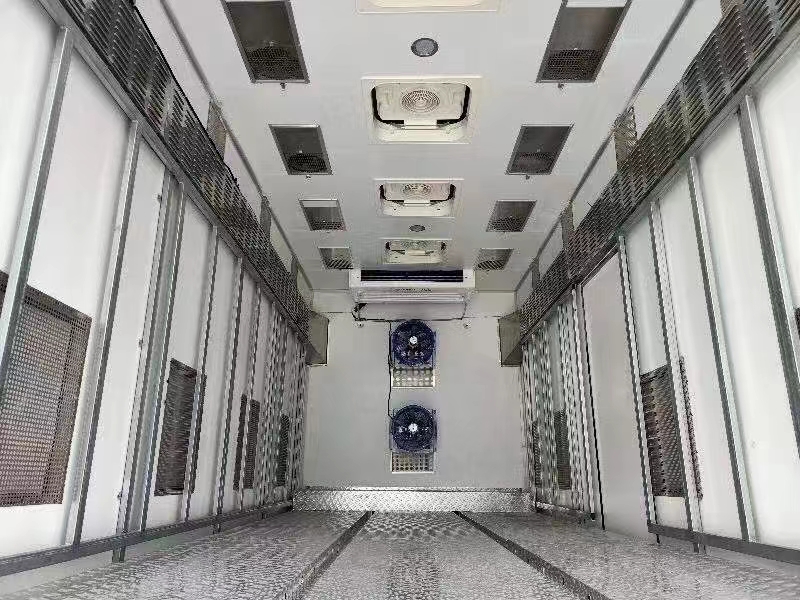 德信豪沃鸡苗车内饰图片